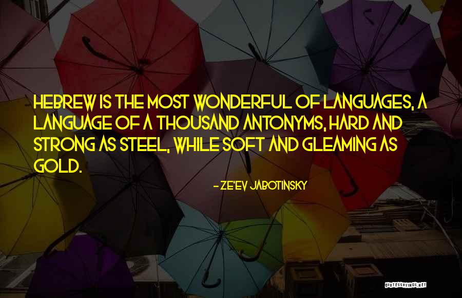 Nizamettin Aric Quotes By Ze'ev Jabotinsky Nizamettin Aric Quotes By Ze'ev Jabotinsky
