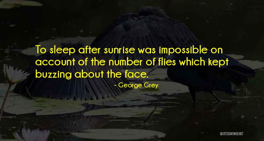 Nizami English Quotes By George Grey Nizami English Quotes By George Grey