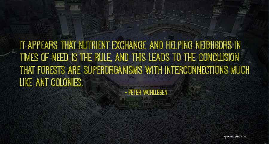 Njacui Quotes By Peter Wohlleben Njacui Quotes By Peter Wohlleben
