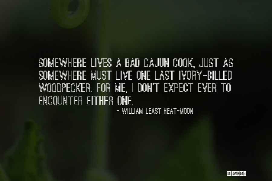 Njalla Domain Quotes By William Least Heat-Moon Njalla Domain Quotes By William Least Heat-Moon