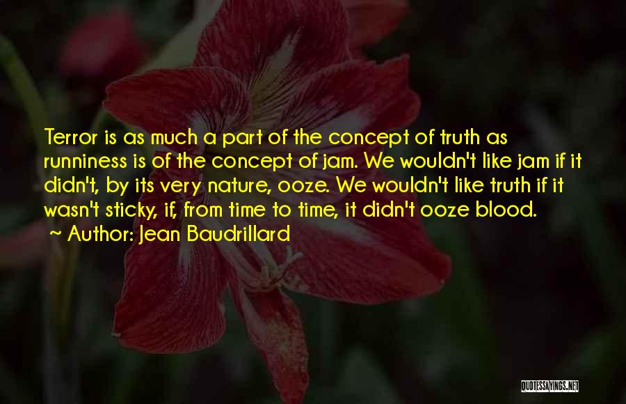 Njbpu Quotes By Jean Baudrillard