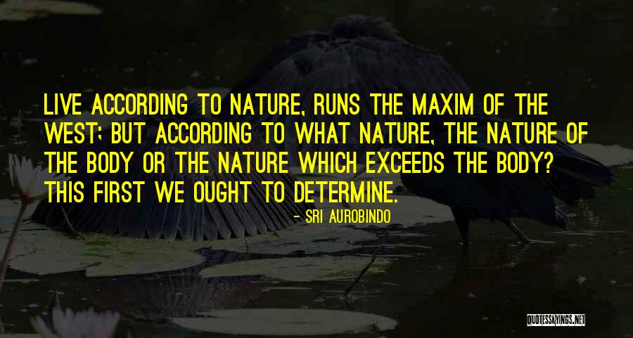Nkansah Movies Quotes By Sri Aurobindo Nkansah Movies Quotes By Sri Aurobindo