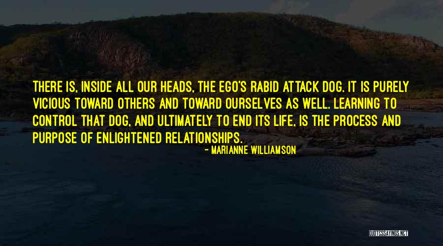 Nkomo Case Quotes By Marianne Williamson