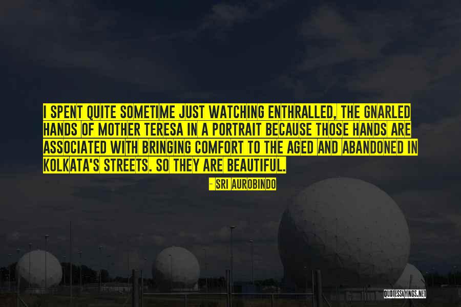 Nkosiyabo Sibanda Quotes By Sri Aurobindo Nkosiyabo Sibanda Quotes By Sri Aurobindo
