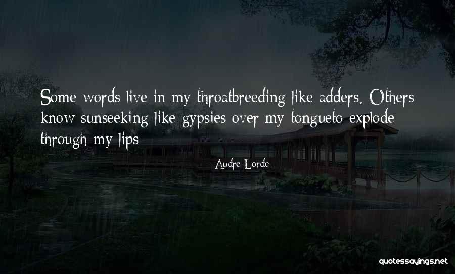 Nlg Quotes By Audre Lorde Nlg Quotes By Audre Lorde