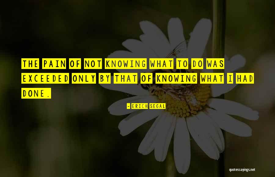 Nmbr Quotes By Erich Segal Nmbr Quotes By Erich Segal