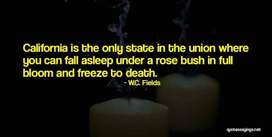 Nnedis Quotes By W.C. Fields Nnedis Quotes By W.C. Fields