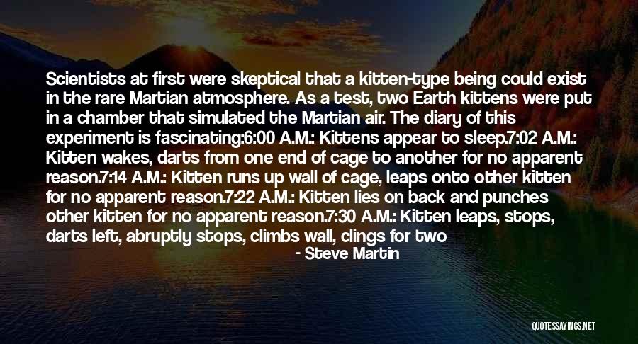 No 6 Quotes By Steve Martin No 6 Quotes By Steve Martin