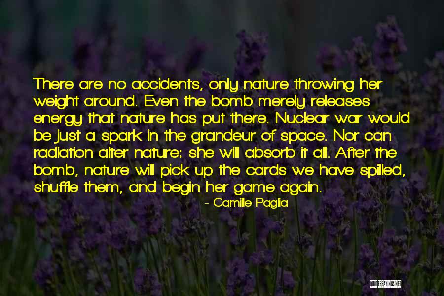 No Accidents Quotes By Camille Paglia