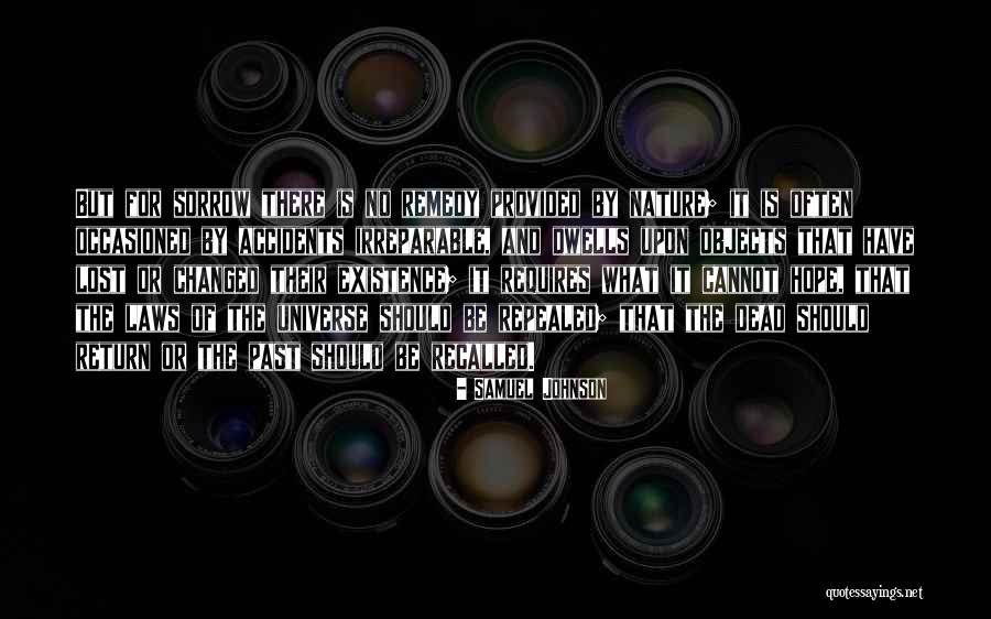 No Accidents Quotes By Samuel Johnson