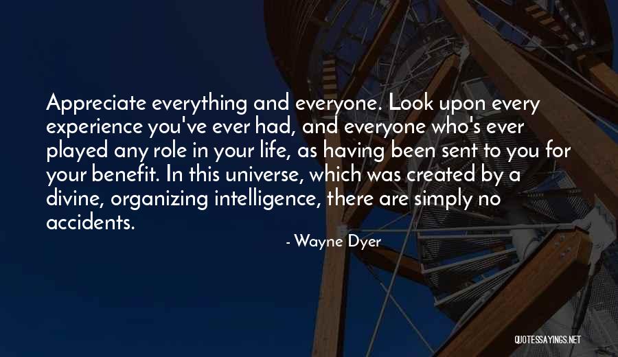 No Accidents Quotes By Wayne Dyer