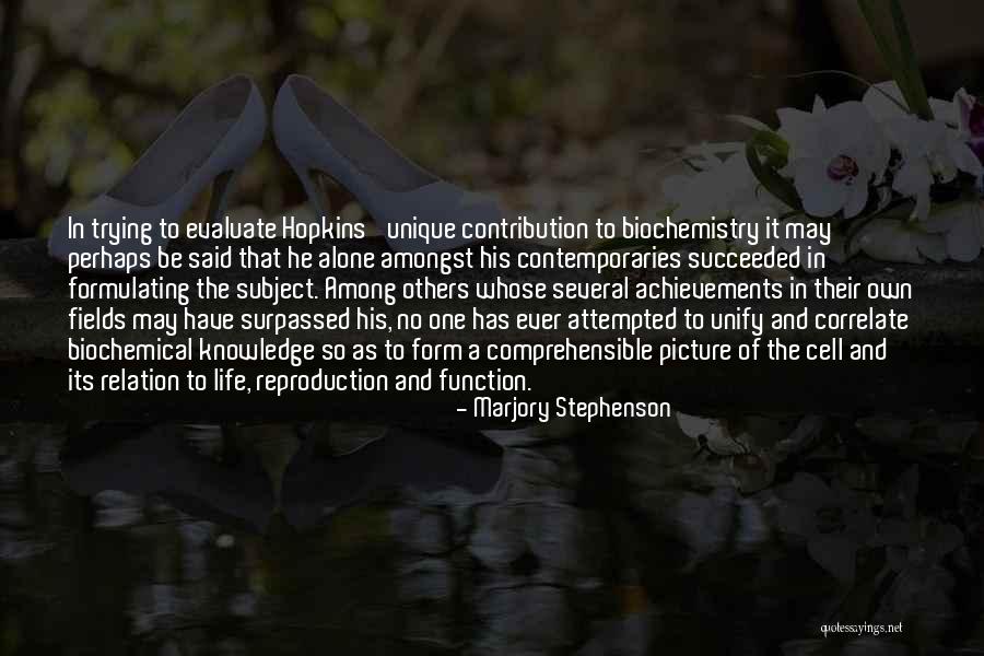No Achievement In Life Quotes By Marjory Stephenson No Achievement In Life Quotes By Marjory Stephenson