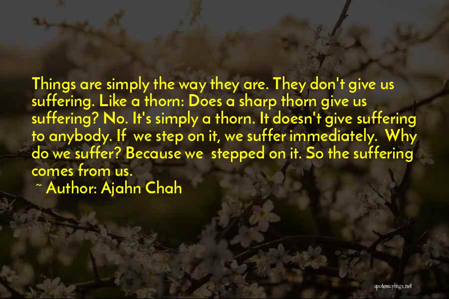 No Ajahn Chah Quotes By Ajahn Chah