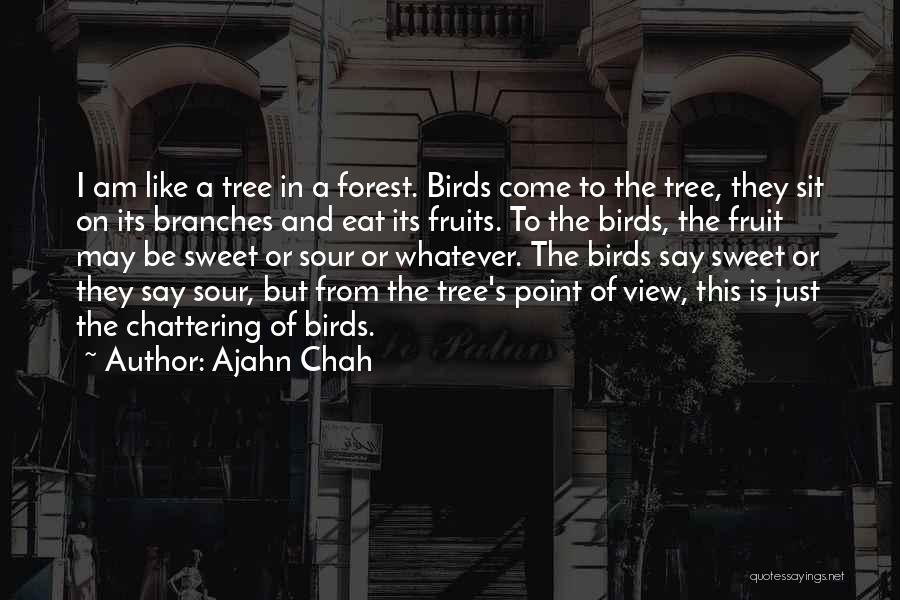No Ajahn Chah Quotes By Ajahn Chah