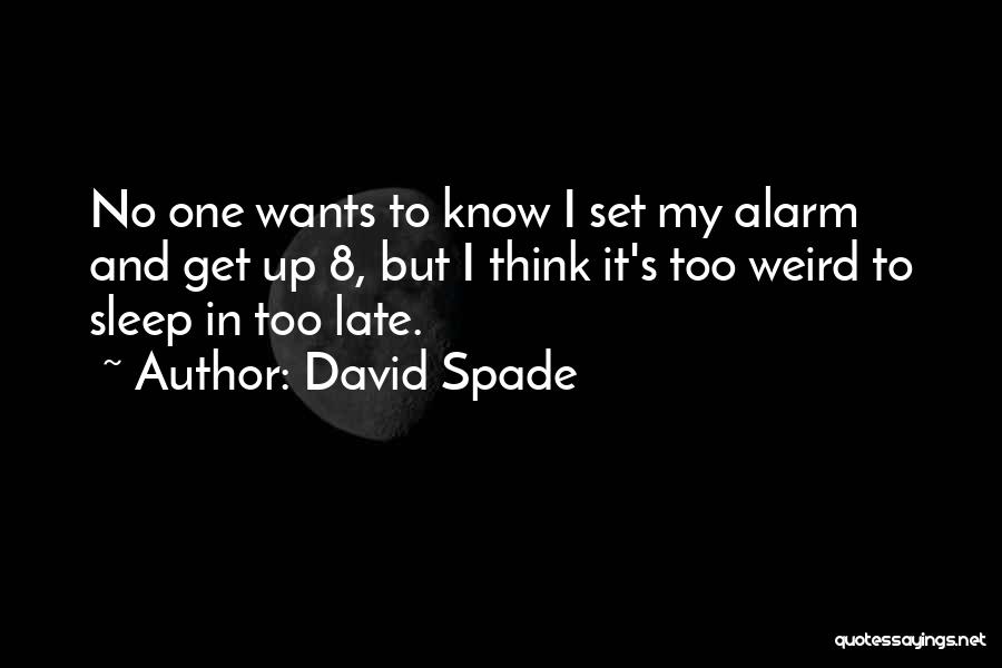 No Alarm Quotes By David Spade