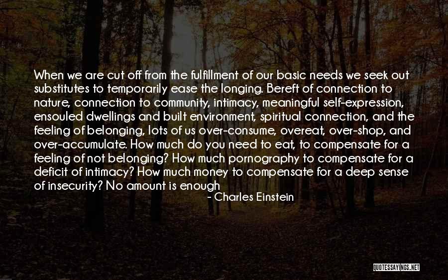 No Amount Of Money Quotes By Charles Einstein No Amount Of Money Quotes By Charles Einstein