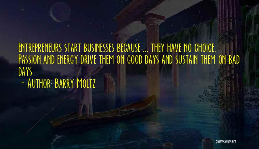 No Bad Days Quotes By Barry Moltz