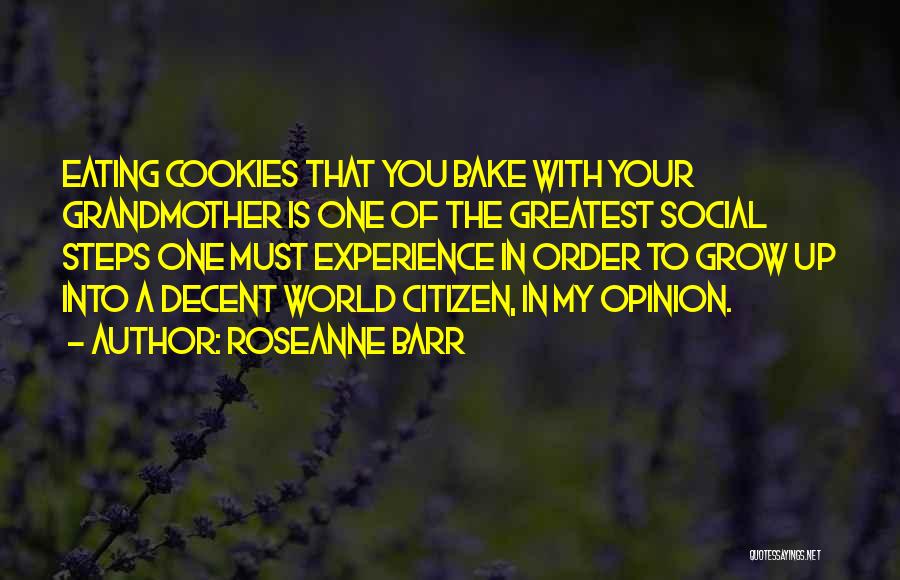 No Bake Cookies Quotes By Roseanne Barr