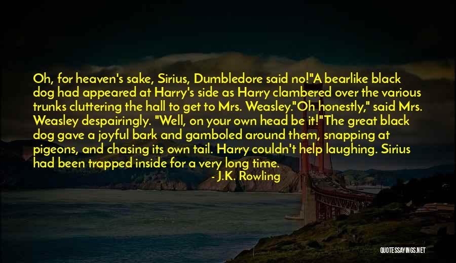 No Bark Quotes By J.K. Rowling No Bark Quotes By J.K. Rowling