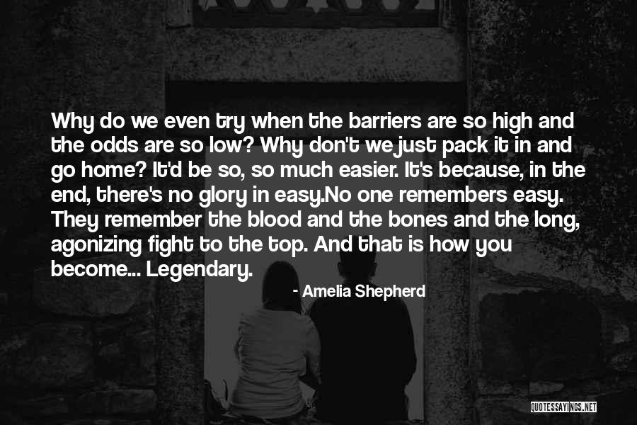 No Barriers Quotes By Amelia Shepherd No Barriers Quotes By Amelia Shepherd