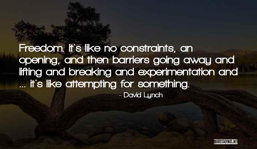 No Barriers Quotes By David Lynch No Barriers Quotes By David Lynch