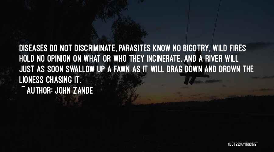 No Bigotry Quotes By John Zande