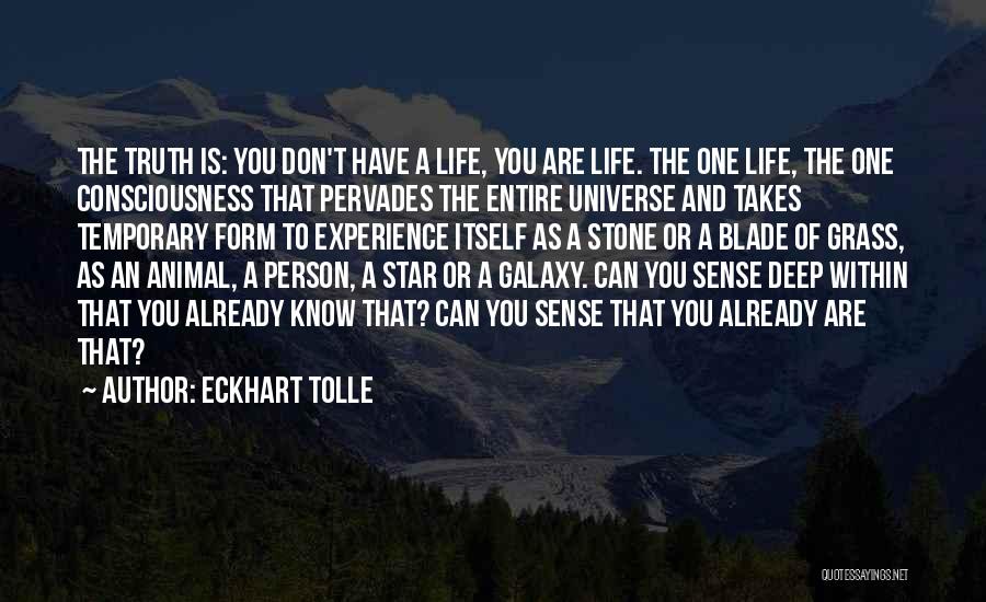 No Blade Of Grass Quotes By Eckhart Tolle