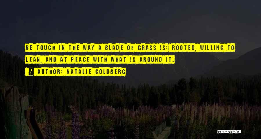 No Blade Of Grass Quotes By Natalie Goldberg