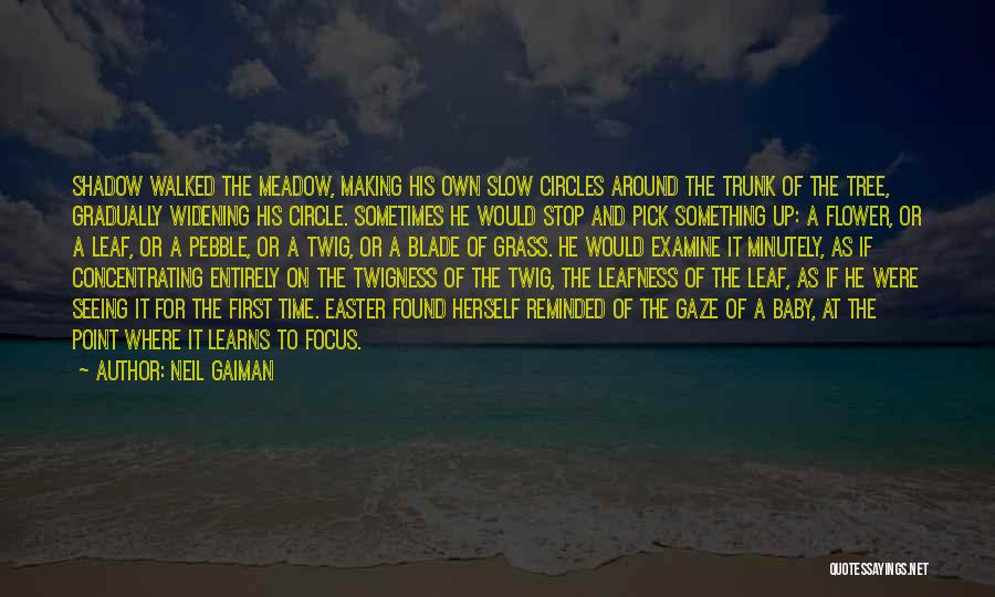 No Blade Of Grass Quotes By Neil Gaiman