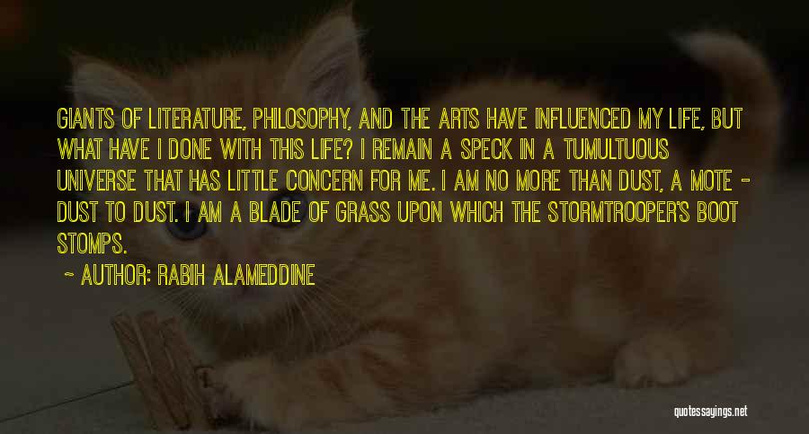 No Blade Of Grass Quotes By Rabih Alameddine