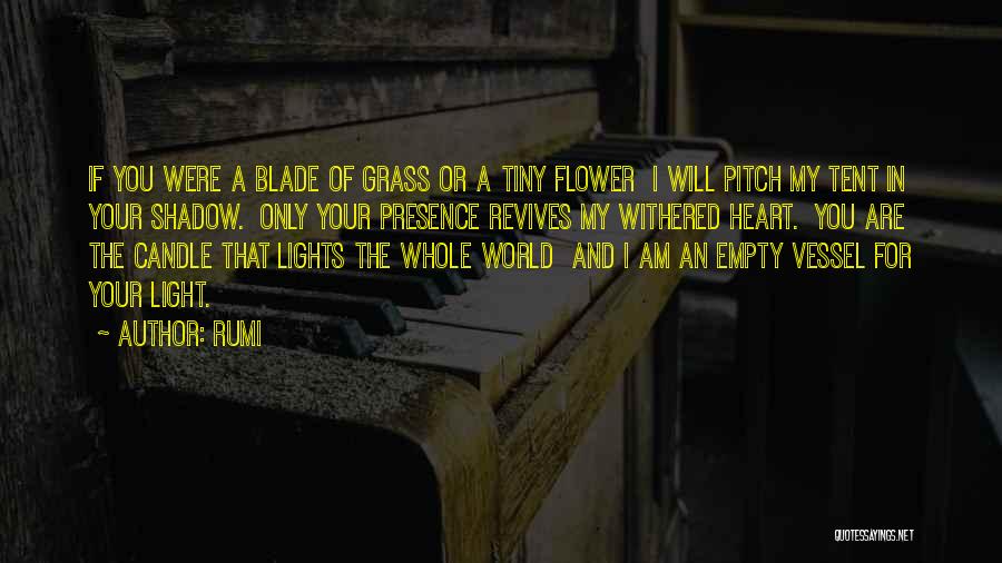 No Blade Of Grass Quotes By Rumi