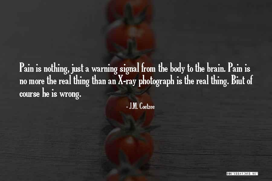 No Brain No Pain Quotes By J.M. Coetzee No Brain No Pain Quotes By J.M. Coetzee