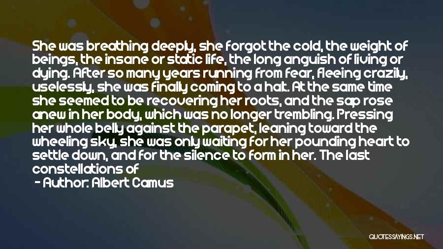 No Breathing Quotes By Albert Camus