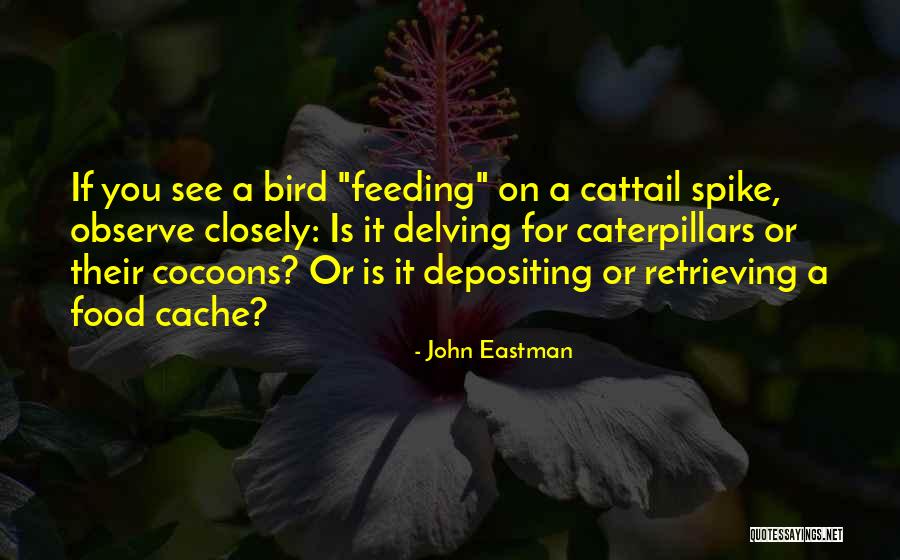No Cache Quotes By John Eastman No Cache Quotes By John Eastman