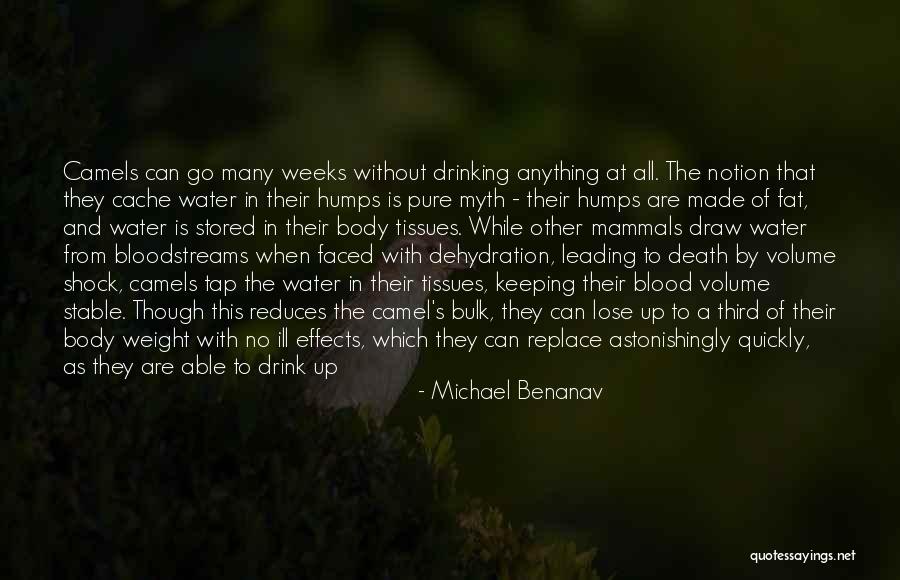 No Cache Quotes By Michael Benanav No Cache Quotes By Michael Benanav