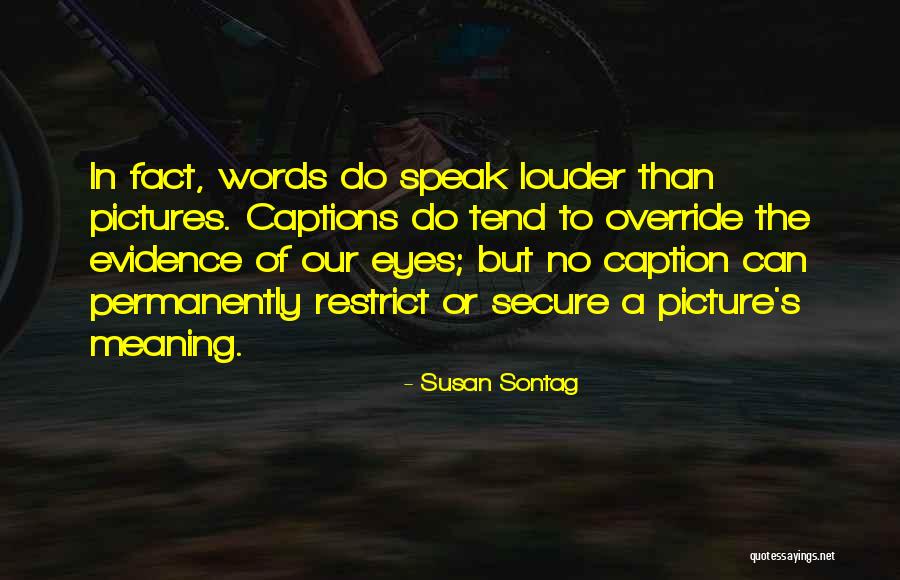 No Caption Quotes By Susan Sontag