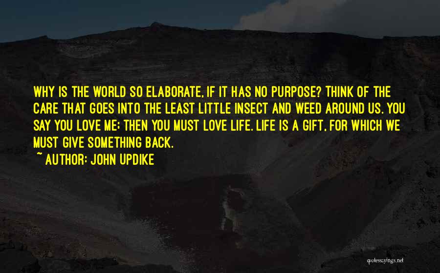 No Care Love Quotes By John Updike