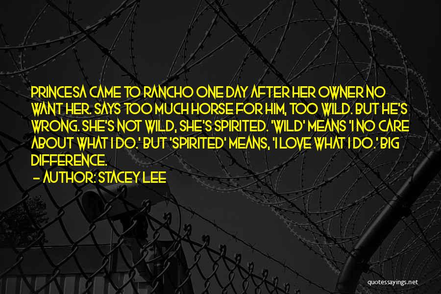 No Care Love Quotes By Stacey Lee