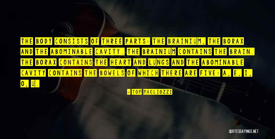 No Cavity Quotes By Tom Magliozzi No Cavity Quotes By Tom Magliozzi