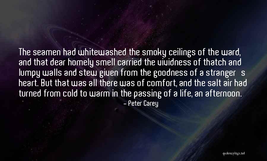 No Ceilings Quotes By Peter Carey No Ceilings Quotes By Peter Carey