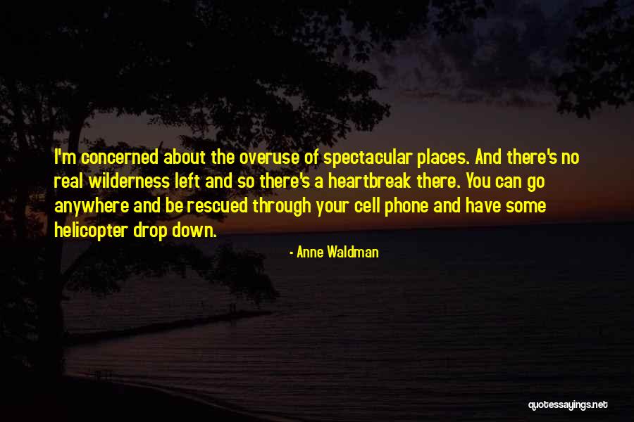 No Cell Phone Quotes By Anne Waldman No Cell Phone Quotes By Anne Waldman