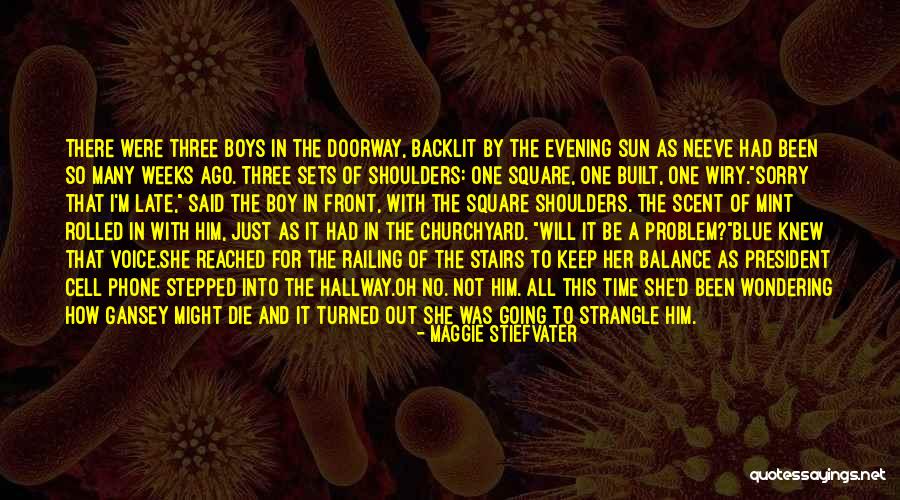 No Cell Phone Quotes By Maggie Stiefvater No Cell Phone Quotes By Maggie Stiefvater