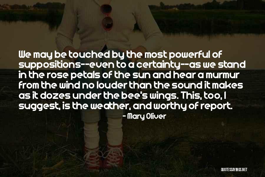 No Certainty Quotes By Mary Oliver No Certainty Quotes By Mary Oliver