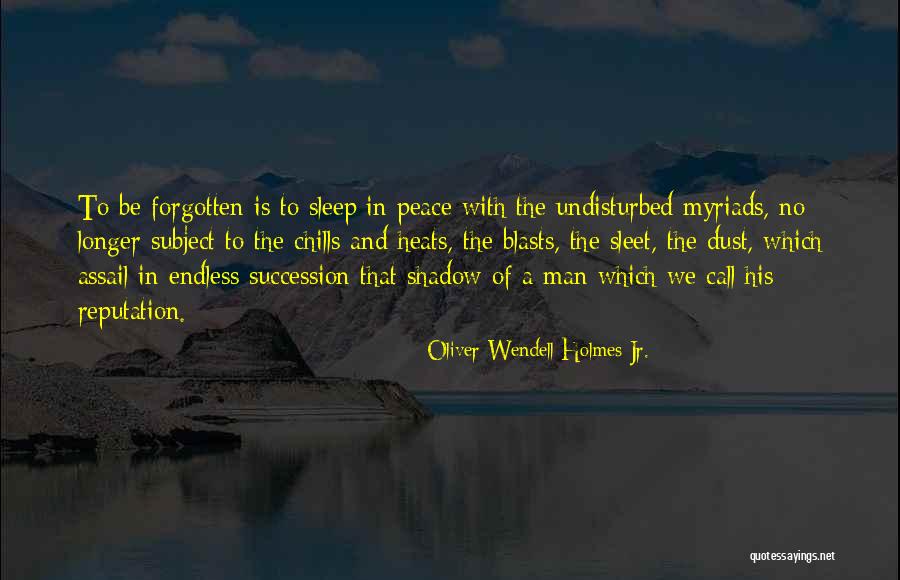 No Chills Quotes By Oliver Wendell Holmes Jr. No Chills Quotes By Oliver Wendell Holmes Jr.
