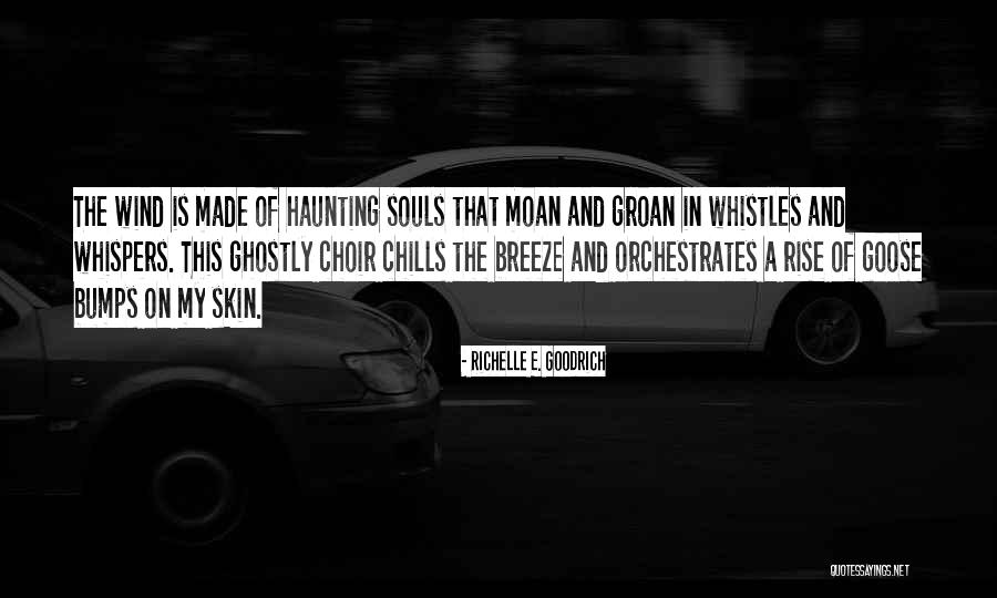 No Chills Quotes By Richelle E. Goodrich No Chills Quotes By Richelle E. Goodrich
