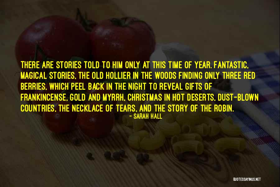 No Christmas Gifts Quotes By Sarah Hall No Christmas Gifts Quotes By Sarah Hall