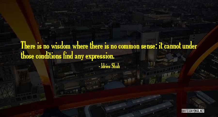 No Common Sense Quotes By Idries Shah No Common Sense Quotes By Idries Shah