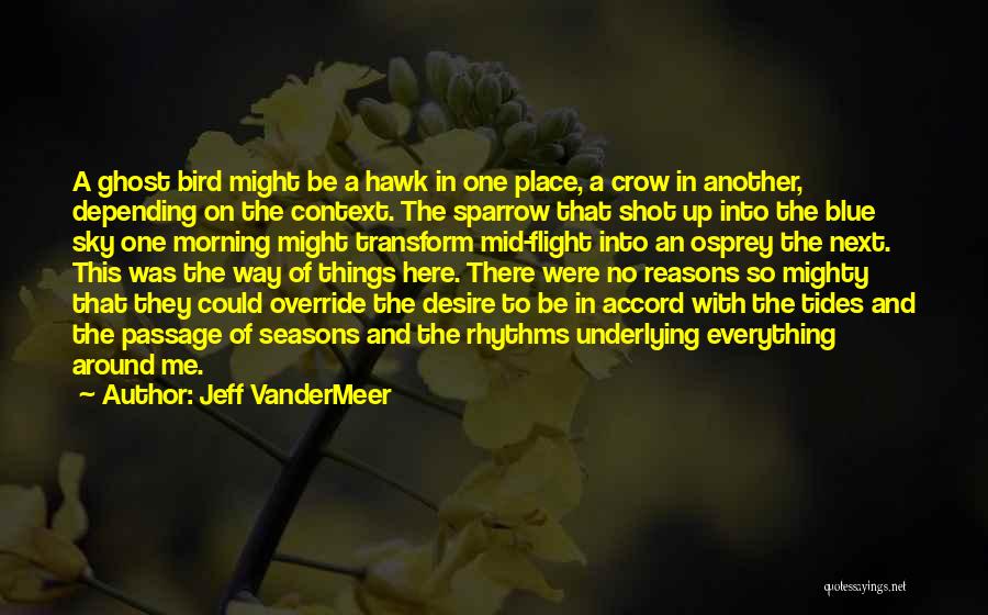 No Context Quotes By Jeff VanderMeer
