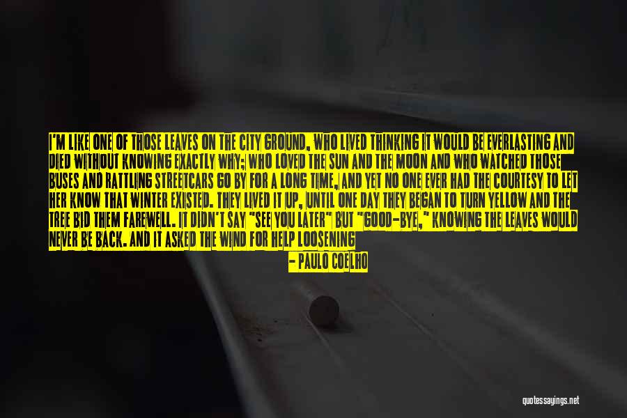 No Courtesy Quotes By Paulo Coelho No Courtesy Quotes By Paulo Coelho