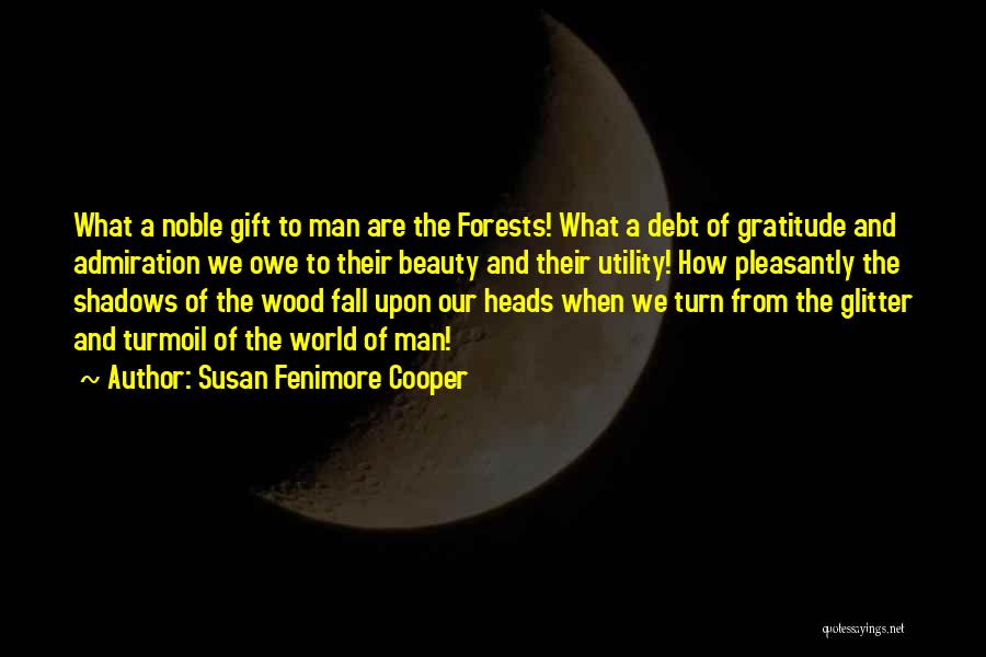 No Debt Of Gratitude Quotes By Susan Fenimore Cooper